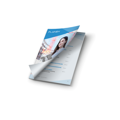 FlyNex White Paper_de_4